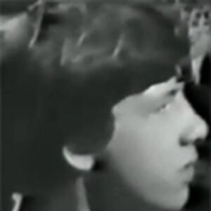 The Lion The Witch And The Wardrobe 1967 Serial The