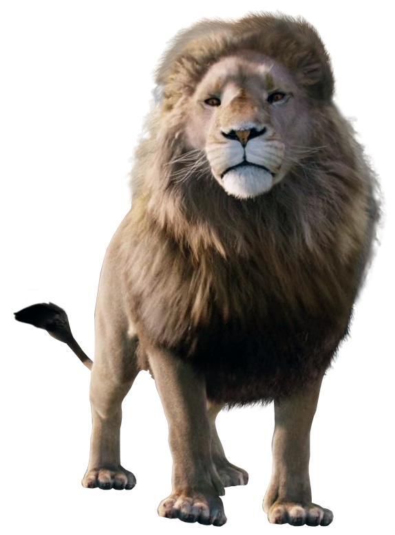 Lion The Chronicles Of Narnia Wiki Fandom