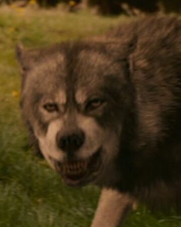 Vardan The Chronicles Of Narnia Wiki Fandom