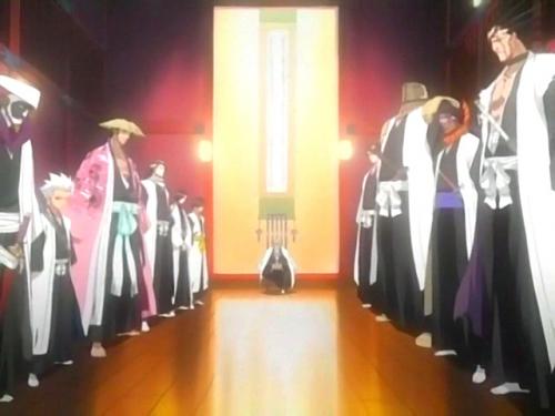 Soul Reaper | Naruto and Bleach Wiki | FANDOM powered by Wikia