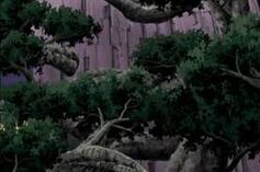 Wood4