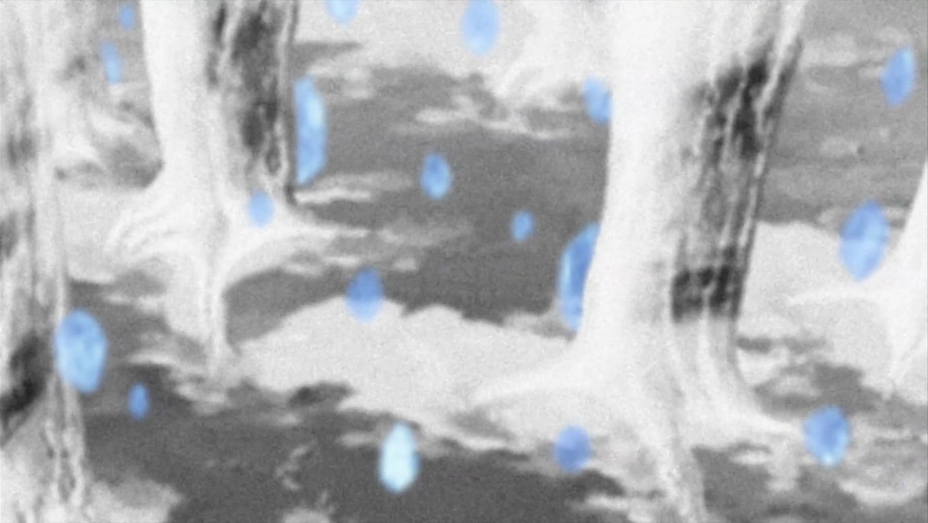 Brouillage par Insectes Naruto Wiki FANDOM powered by Wikia