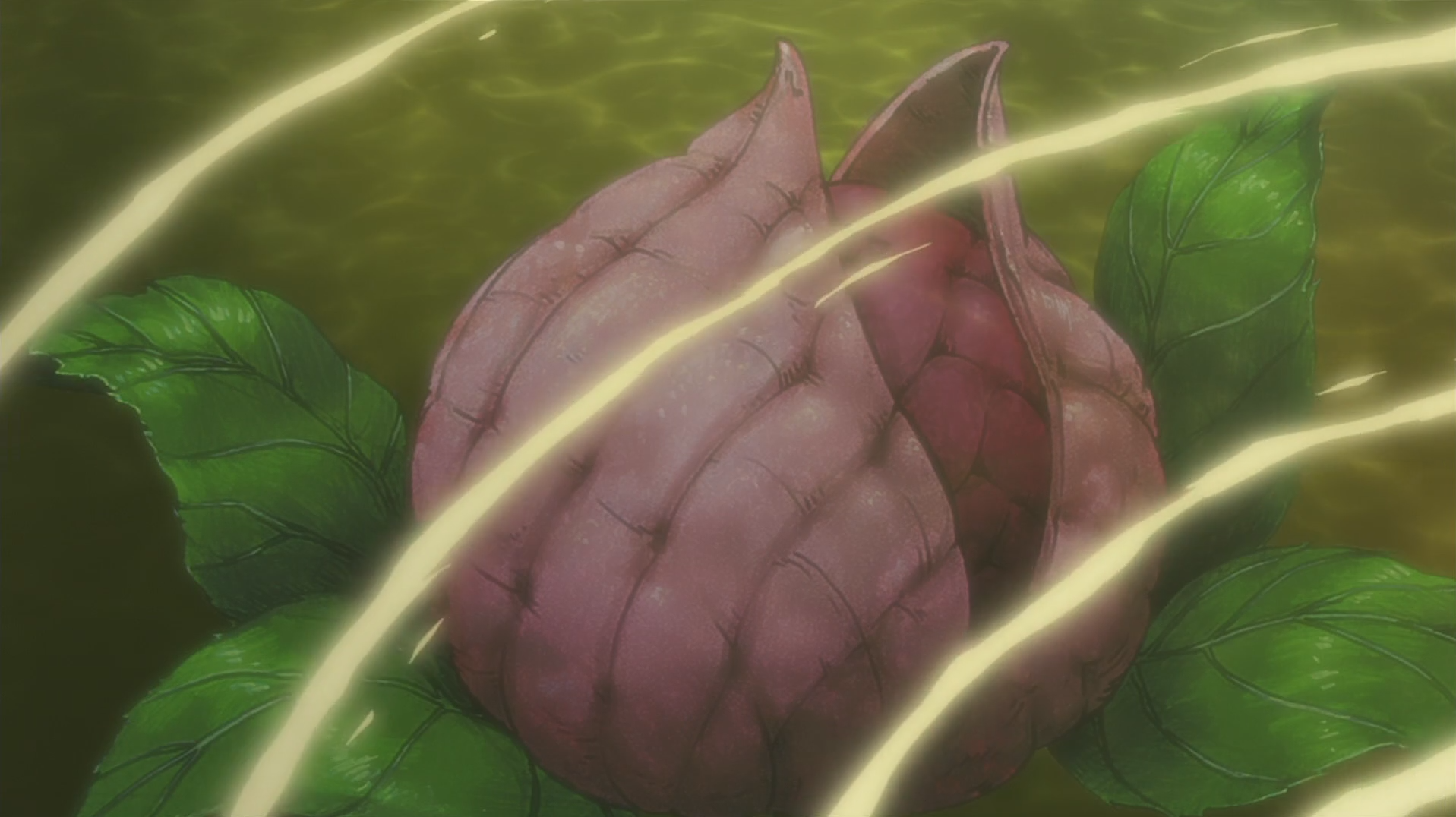 Fruto de Chakra Naruto Wiki FANDOM powered by Wikia Fruto de Chakra Naruto Wiki FANDOM powered by Wikia