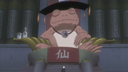 The Great Toad Sage