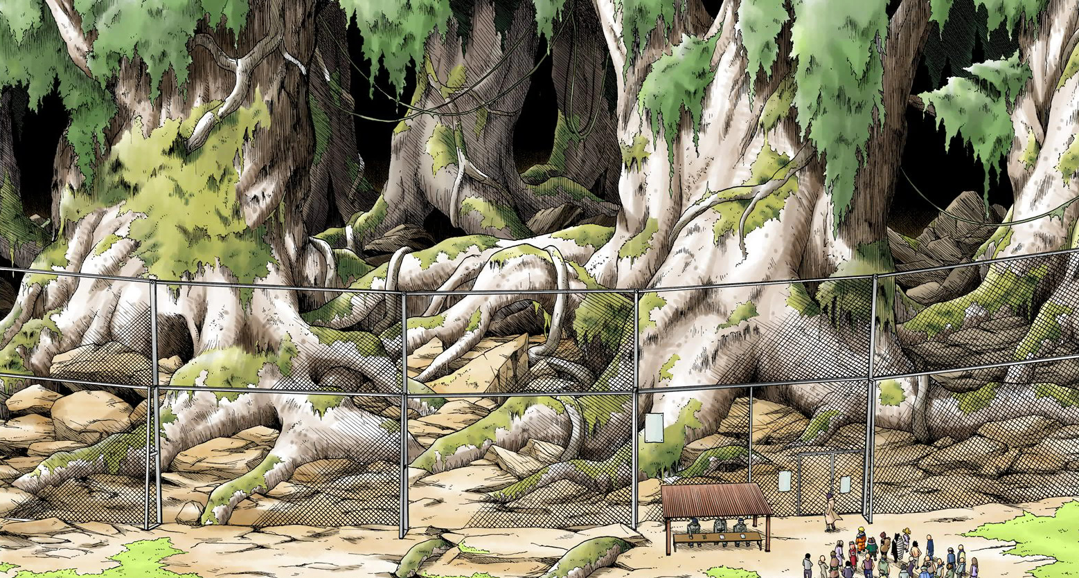 Bosque De La Muerte Naruto Wiki Fandom