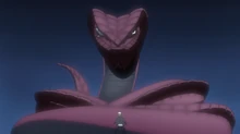 Garaga's Appearance