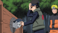 Aoba interrogate