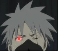 Kakasis kontroliuojamas hiruko