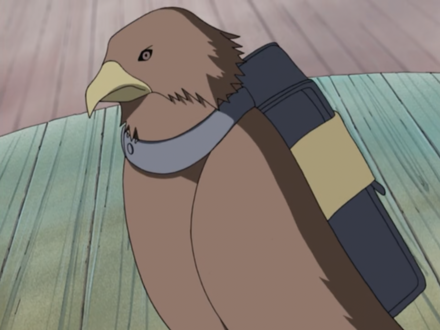 takamaru narutopedia fandom powered by wikia