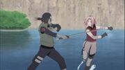 Hayate lucha contra Sakura
