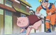 Tonton guía a Naruto hacia su destino, el equipo de Shizune