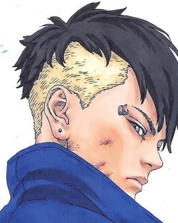 Kawaki Narutopedia Indonesia Fandom