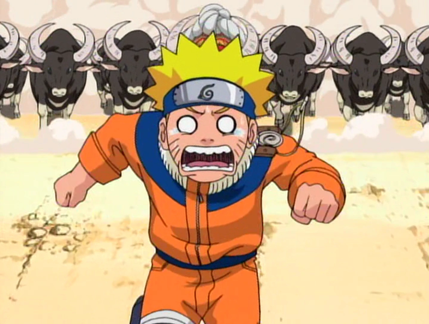 In Che Episodio Naruto Diventa Hokage