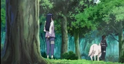 Kiba, Akamaru e Hinata na árvore de marcações de recordes