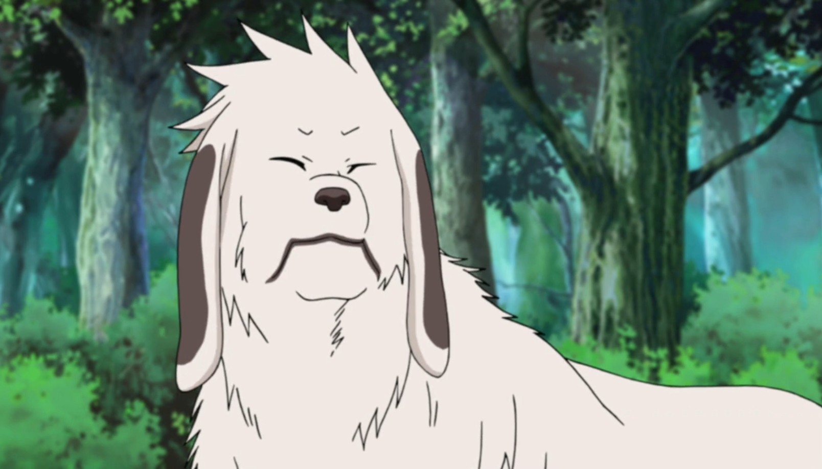 Imagem - Akamaru.PNG | Wiki Naruto | FANDOM powered by Wikia