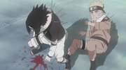 Sasuke îi protejează pe Naruto.
