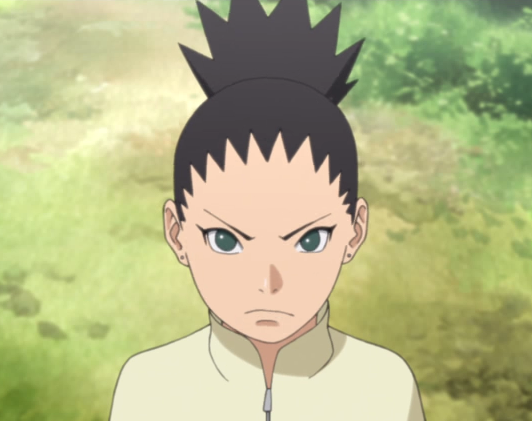 Shikadai Nara Naruto Wiki Fandom Powered By Wikia 