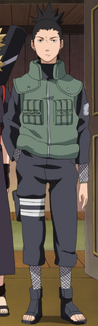Shikamaru en la segunda parte