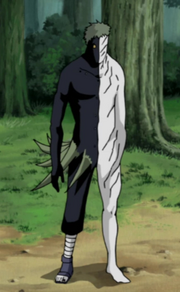 Black Zetsu Narutopedia FANDOM powered by Wikia