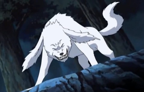 Akamaru23