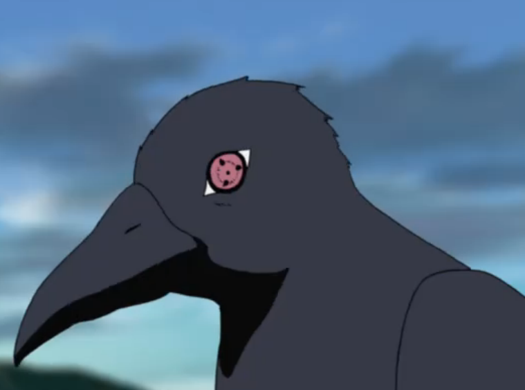 Corvo De Itachi Wiki Naruto Fandom