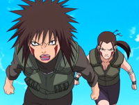 Hana and tsume