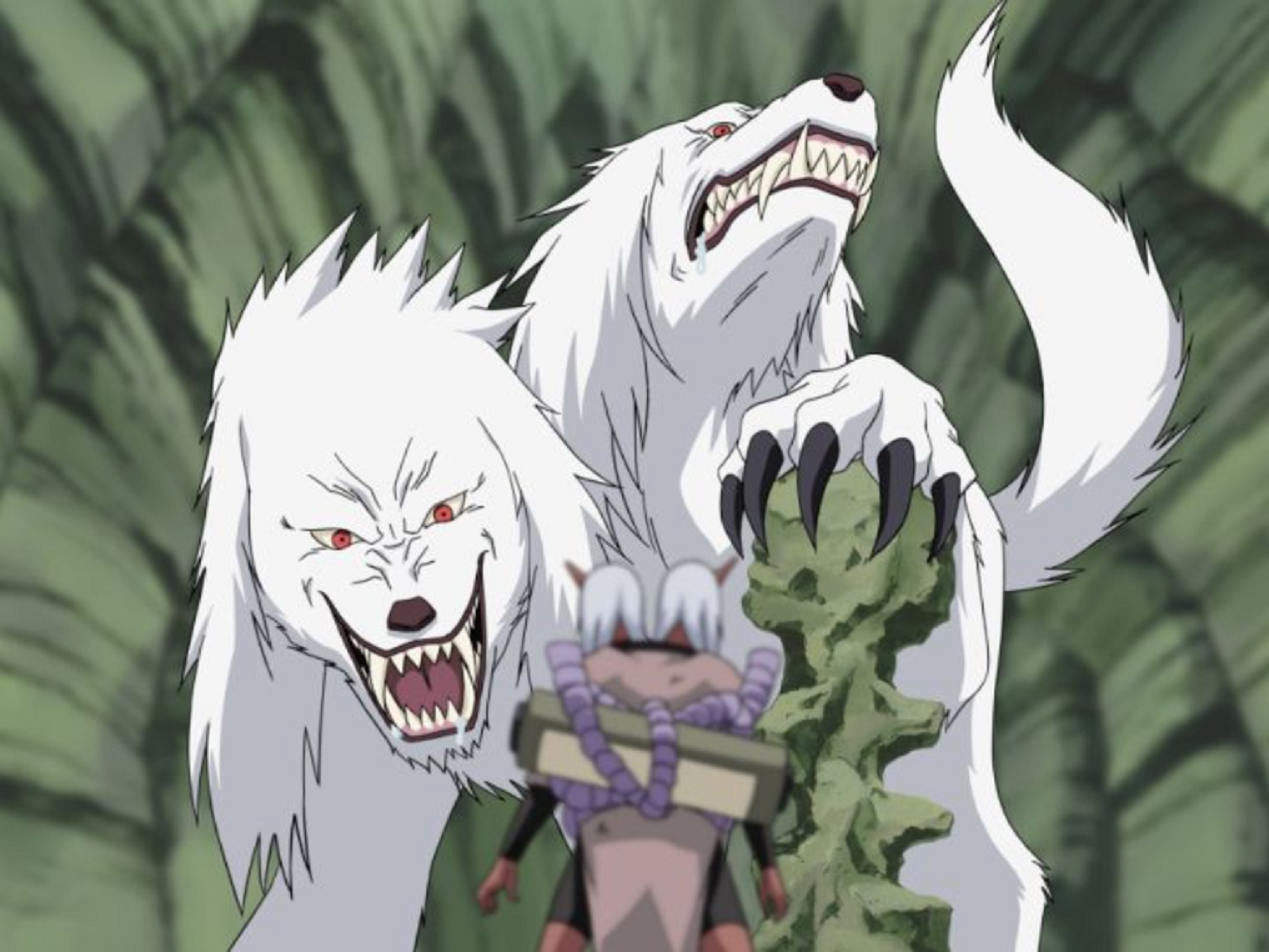Kiba Inuzuka | Naruto Wiki | Fandom
