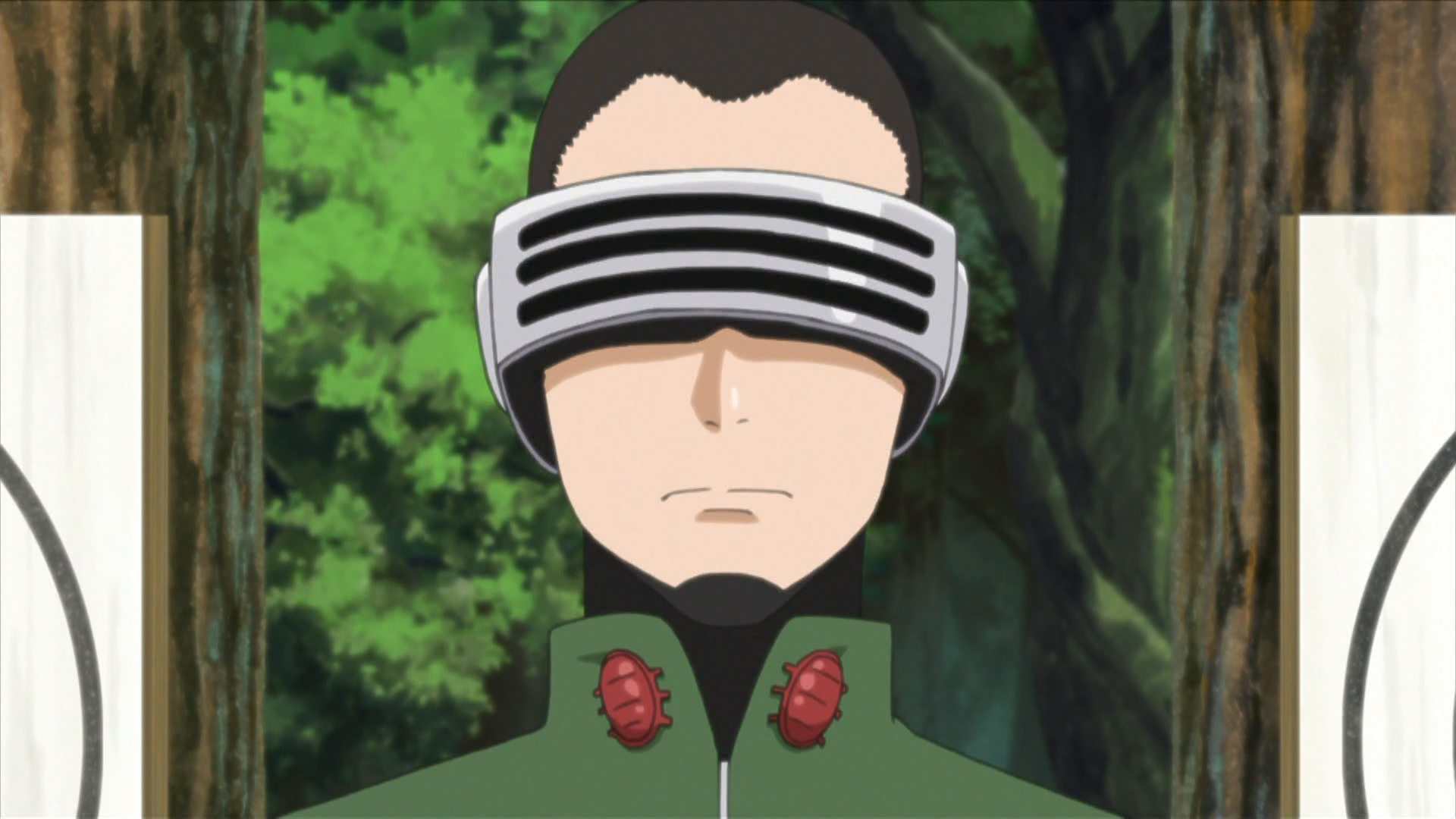 Imagem Shino Professor Png Wiki Naruto Fandom Powered By Wikia