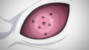 Urashiki's Rinnegan