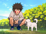 Kiba Inuzuka | Narutopedia | FANDOM powered by Wikia