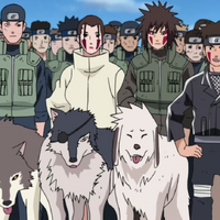 Inuzuka Clan Narutopedia Fandom