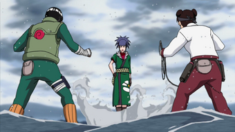 Tenten Narutopedia Fandom