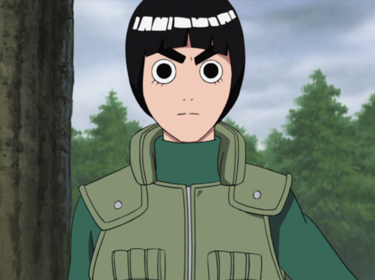 rock lee e naruto