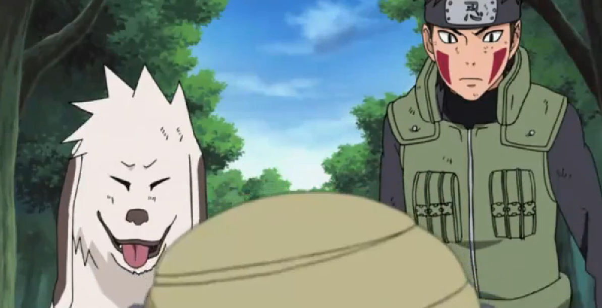 Kiba Inuzuka Naruto Wiki Fandom