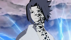 Sasegno