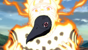 Cioara ieșind din gura lui Naruto