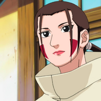 Hana Inuzuka Narutopedia Fandom