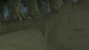 Elemento Tierra División de la Palma de Tierra Anime