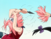 Sakuracuthair