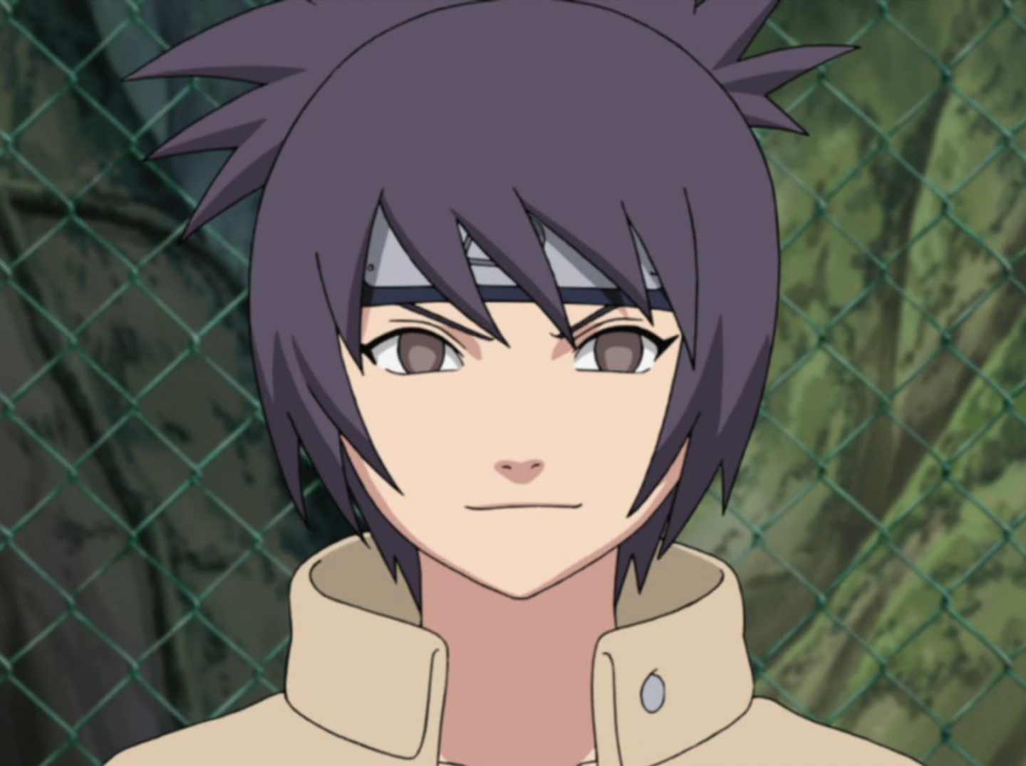 Anko Mitarashi | NarutoPedia | Fandom