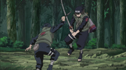 Hayate contra Io