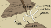 Fifth division deployment strategy