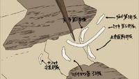 Fifth division deployment strategy