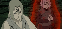Tsunade e sakura