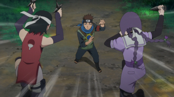 Sumire Kakei Naruto Wiki Fandom