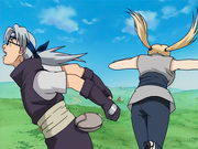 Points Disturbance