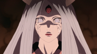 Sentimentos Mistos de Kaguya