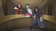 Torune y Fu Guardaespaldas