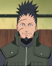 Shikaku Nara