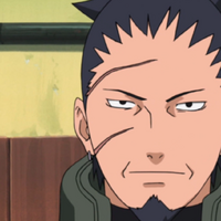 Shikaku Nara Narutopedia Fandom